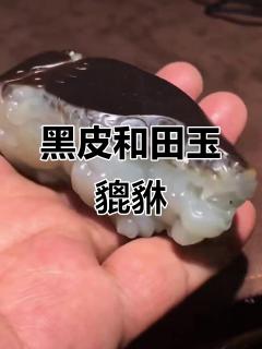 和田玉万年黑皮籽料貔貅手把件,羊脂白玉雕琢精美